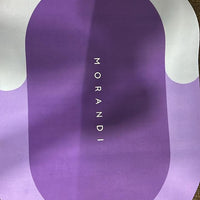 Water Absorbing Anti-Slip Floor Mat / Bath Mat